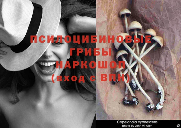 мескалин Алексин