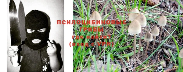 мескалин Алексин