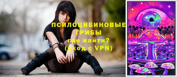 ALPHA-PVP Алексеевка