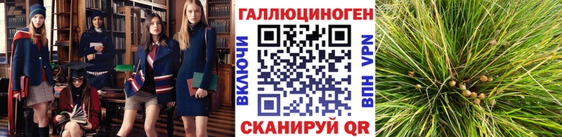 Галлюциногенные грибы MAGIC MUSHROOMS  Льгов 